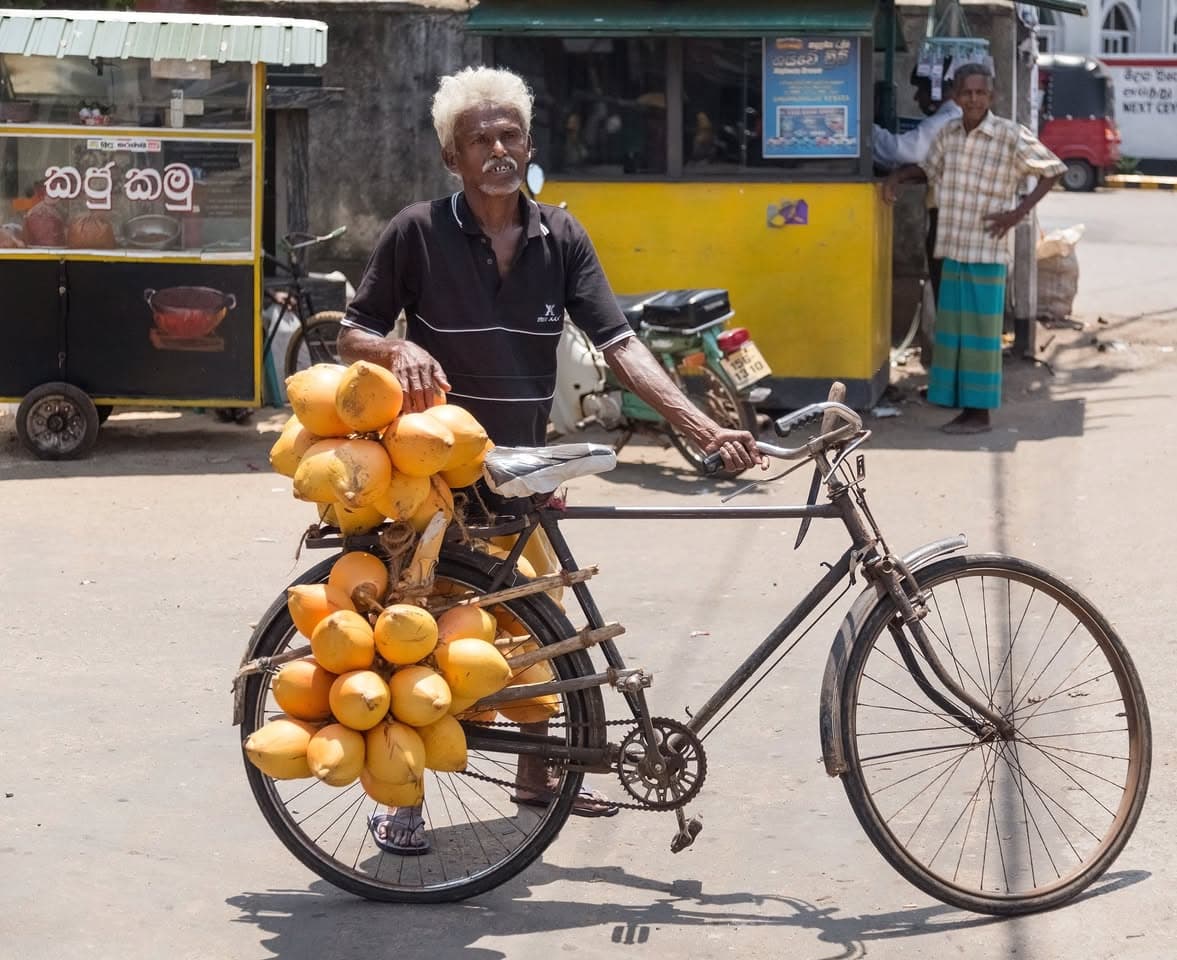 A grower standing with a bicycle loaded with king coconuts