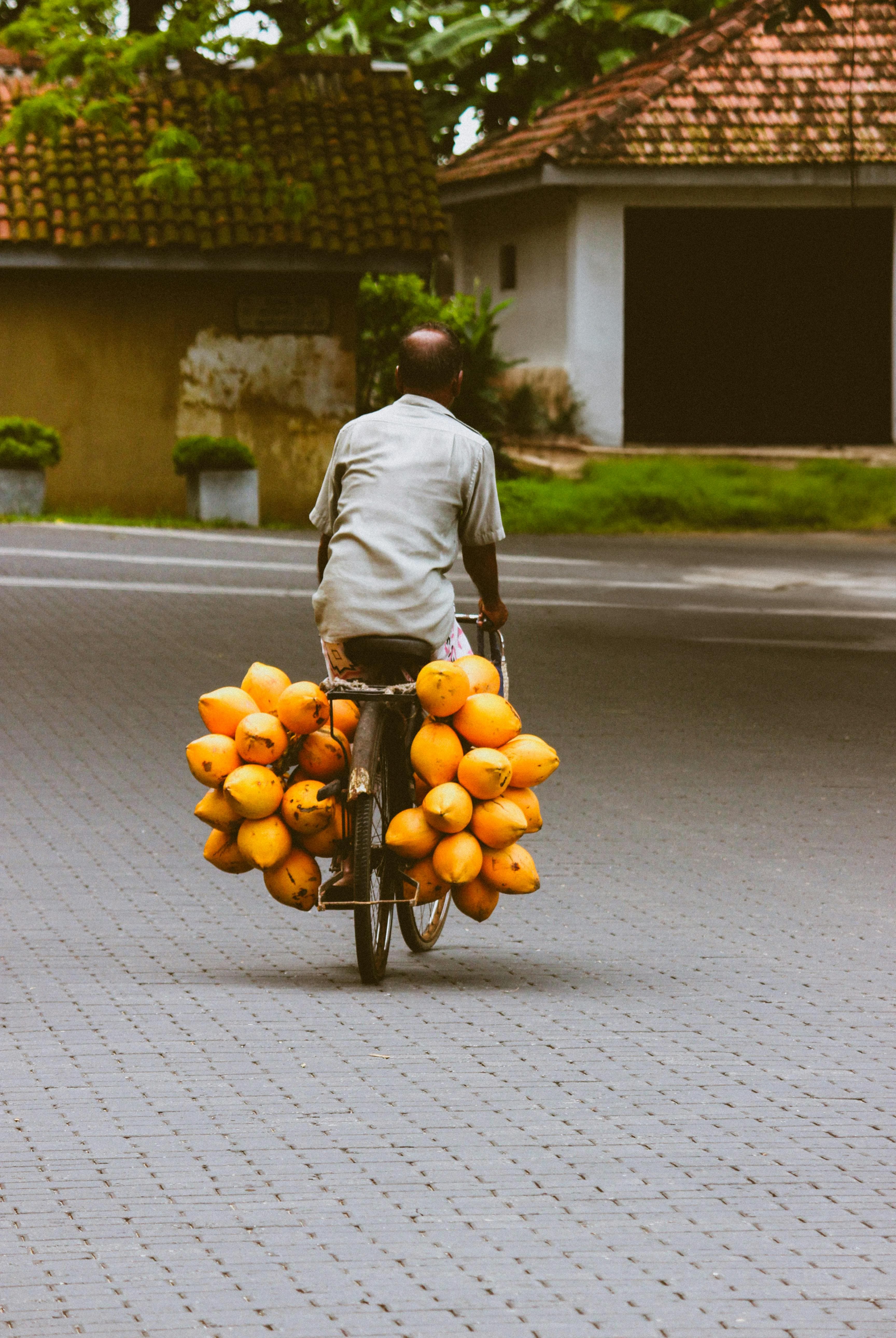 A vendor cycling through a Sri Lankan street with king coconuts loaded on the bicycle