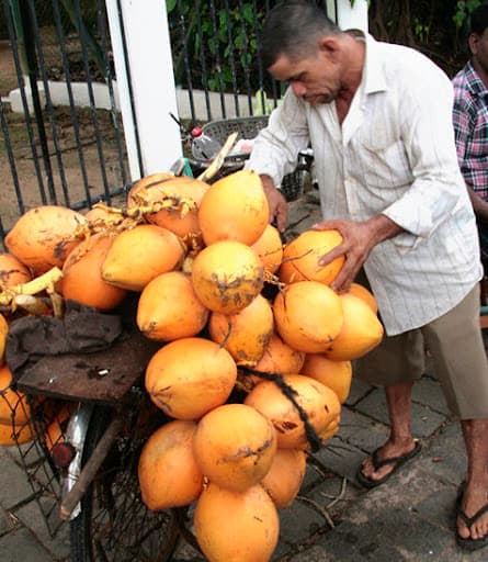 A vendor lifting king coconuts from a loaded bicycle