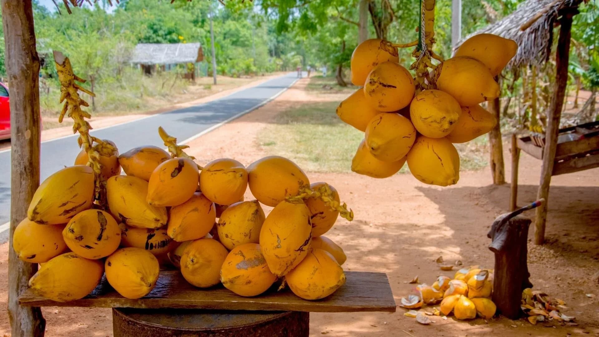 King coconuts stacked at a roadside stand on a rural road in Sri Lanka